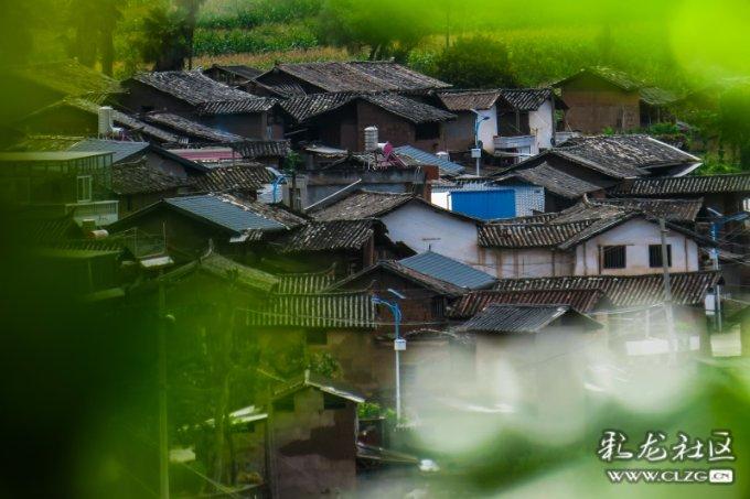 电动牙刷的刷柄碰到牙齿会导致牙裂吗游戏画面