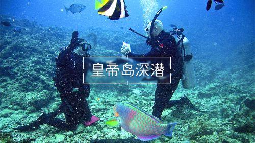 现代战争防御战无敌版