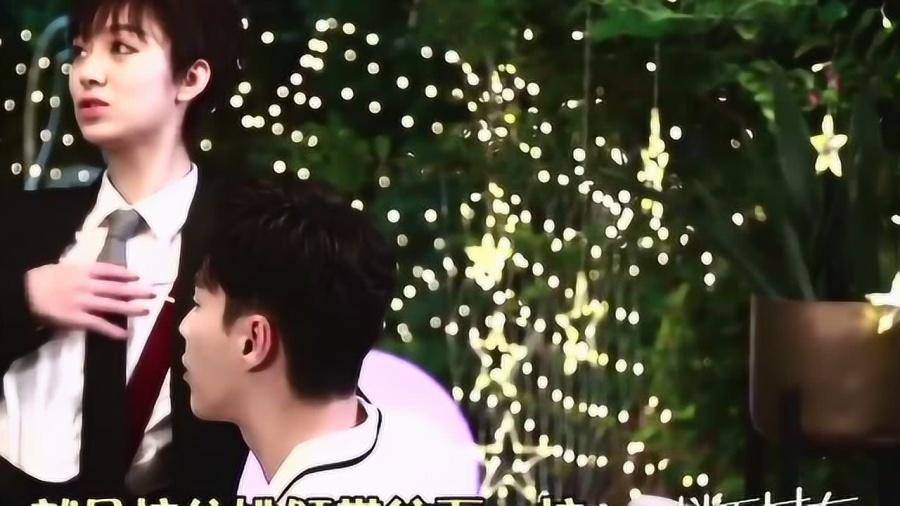 破碎的动物图形3