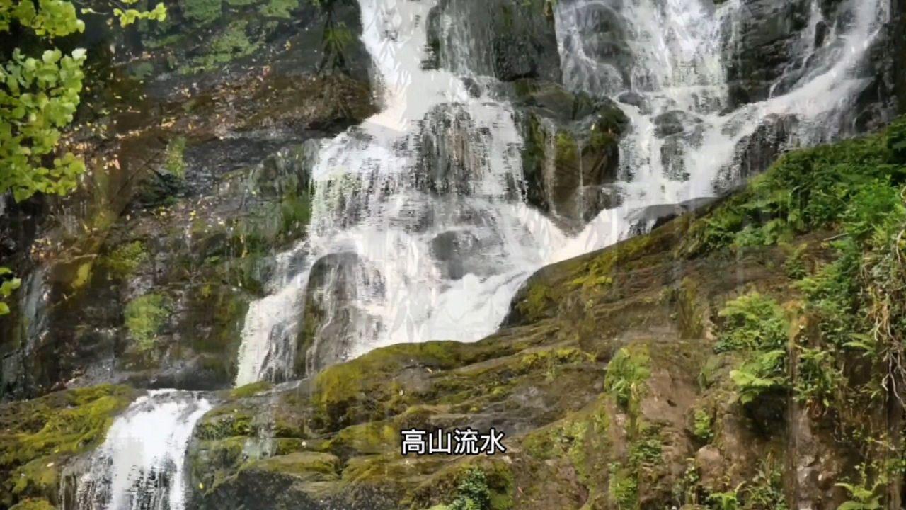每次看《知否》,都觉得她弱爆了