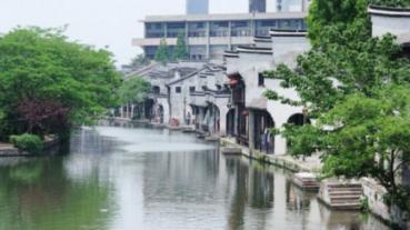 救援男孩与狗