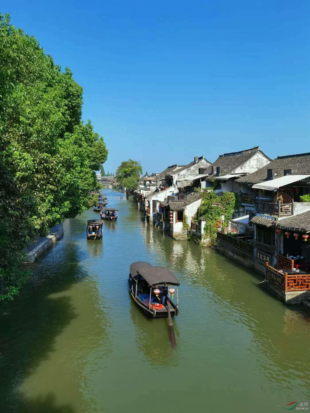 郑人买履的意思游戏画面