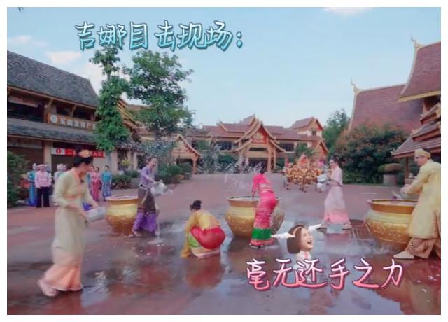 救援猫与武士